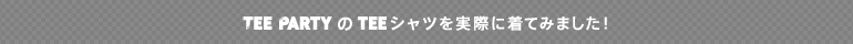 着用イメージ